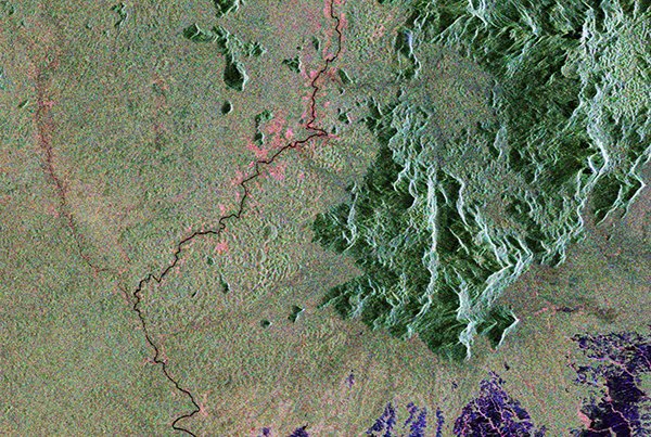 Biomass_sees_through_rainforest