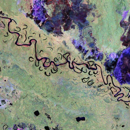 Bolivian_forest_and_landscape_from_Biomass
