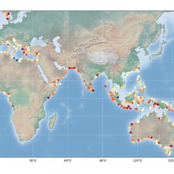 Sea Level