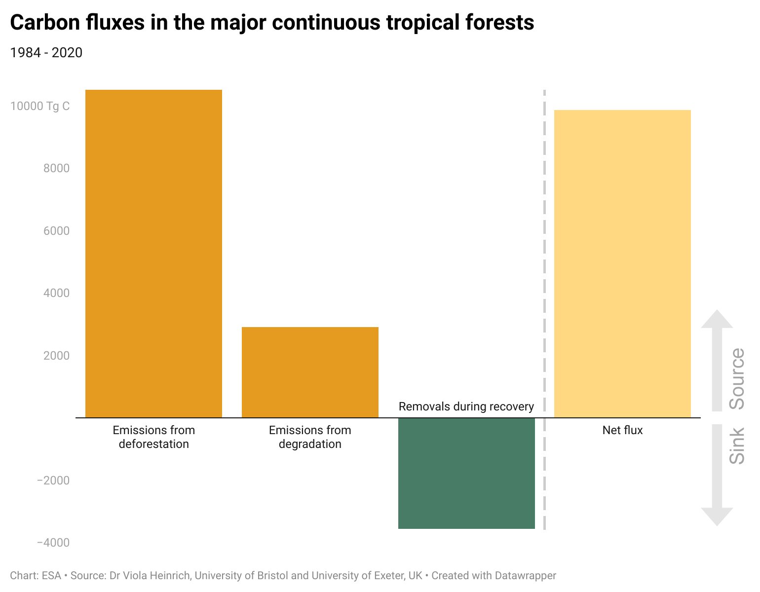 Carbon fluxes in the major continuous tropical forests
