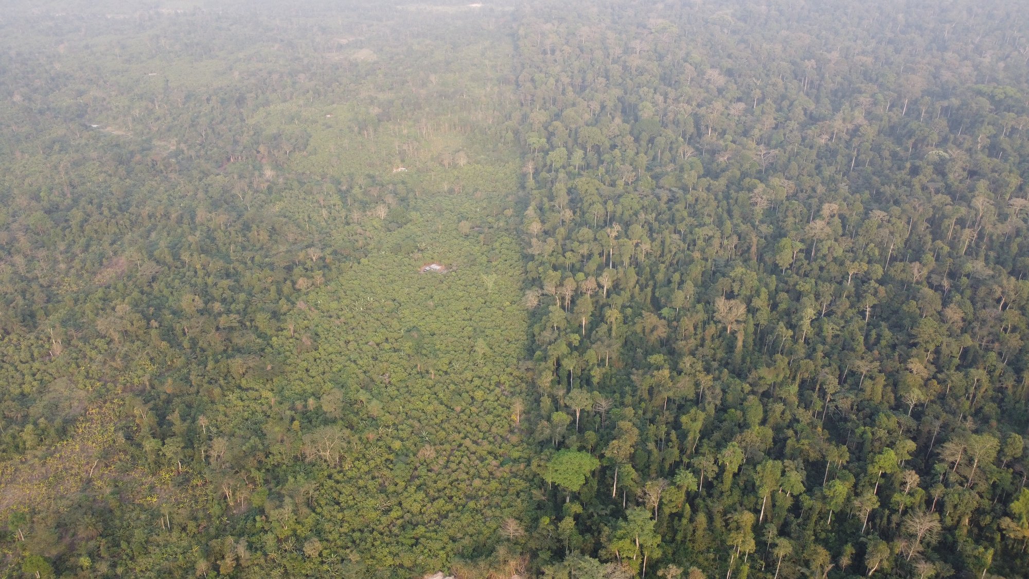 Aerial imagery highlighting the diversity of tropical forest degradation and recovery processes happening in Ghana. Far left: agroforestry and secondary forest regrowth, middle: tree croplands and agricultural use, right: natural forest with less signs of