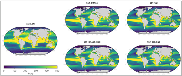 Figure 2: Annual mean water column-integrated primary production (mg C m-2 d-1) derived from OC-CCI satellite data (intpp_CCI) and four EC-Earth4 model simulations. Note that the satellite and model products represent broadly but not precisely comparable