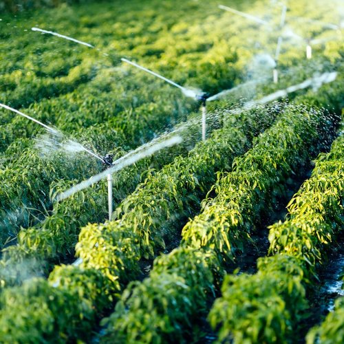 Anthropogenic Water Use