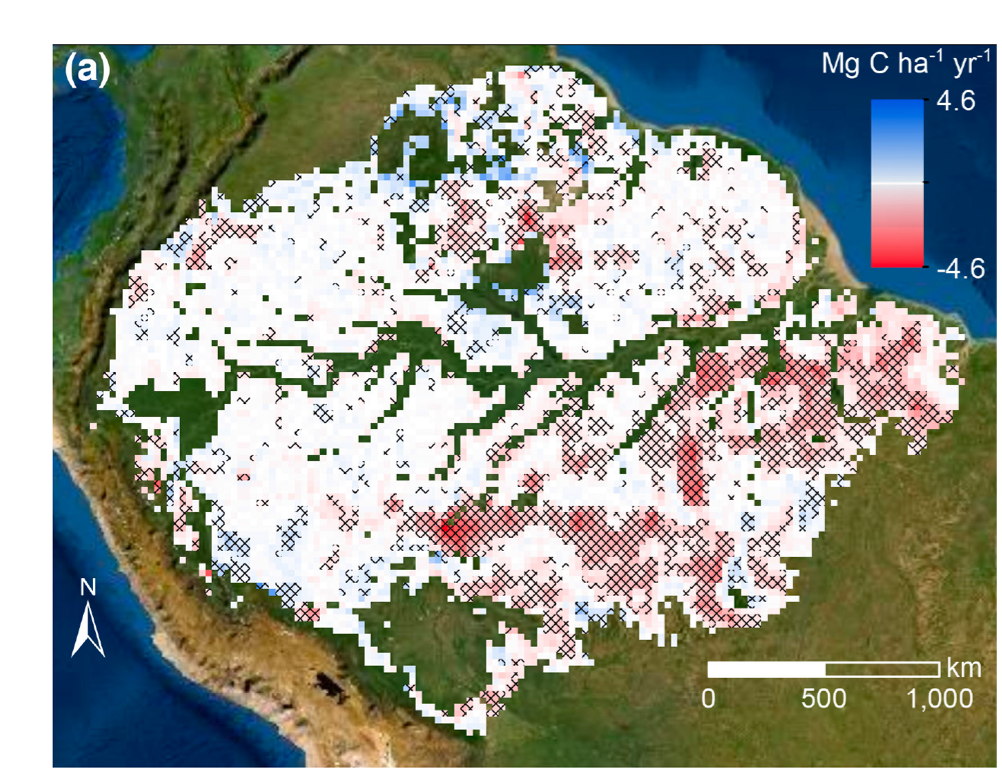 Figure 1. Amazon above ground biomass change trends 2011-2018