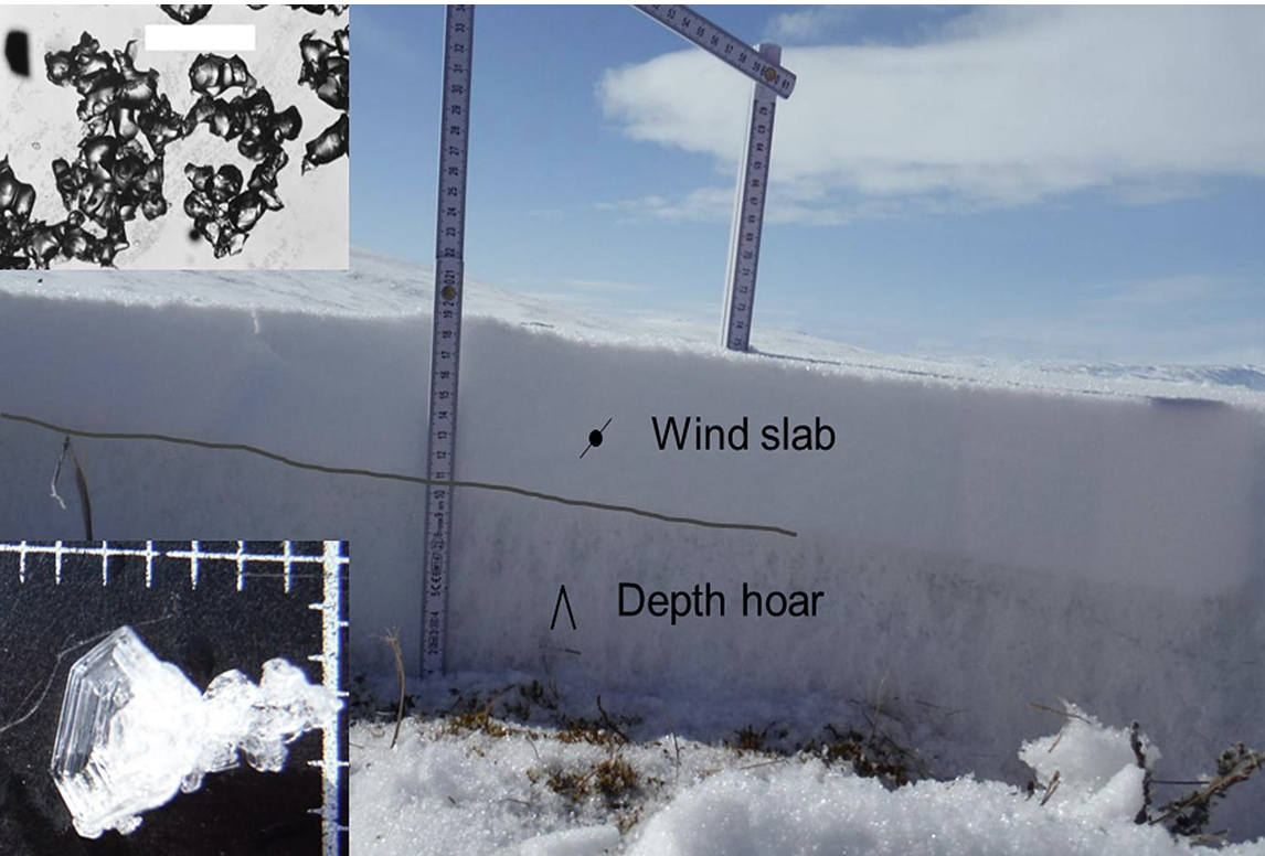 Typical vertical section of the Arctic snowpack at Bylot Island in May 2015. (from Domine et al., 2018)