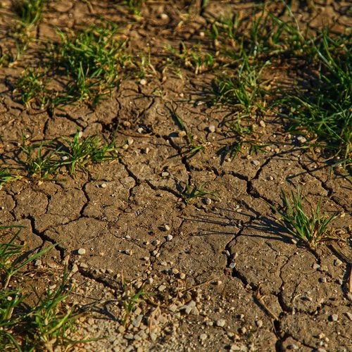 Soil-moisture-URrHCgHeJ9Q_news.jpg