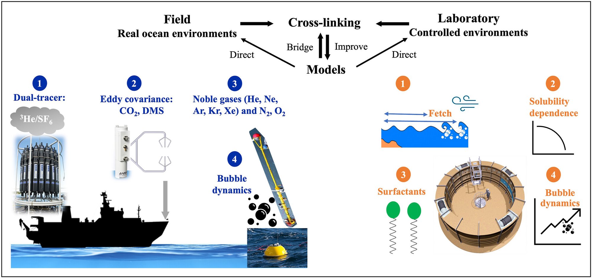 Cross-linking laboratory experiments, field observations, and models to improve quantification of bubble-mediated air-sea gas transfer across gases with different solubilities