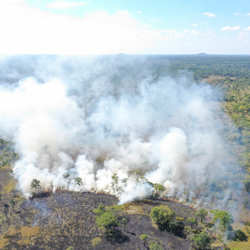 Savanna fire in Mozambique at a scale that would not be detected by conventional burned area that has been used for global-scale burned area mapping but is detected with the satellite data used in this study (photo-credit: Tom Eames)