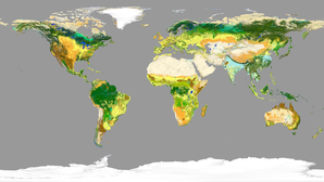 landcover-map-1
